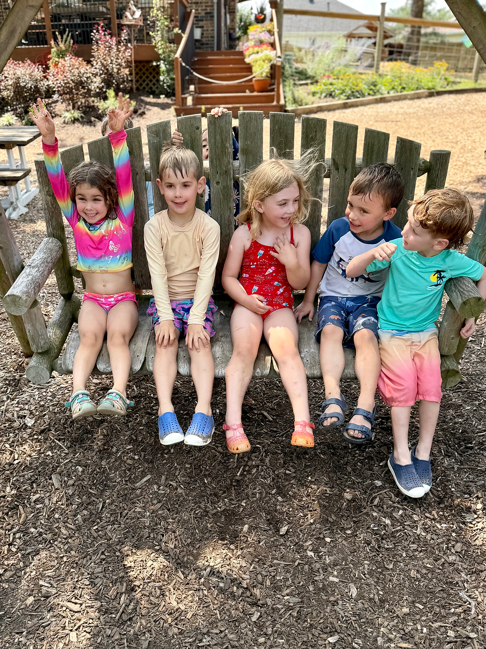 Buzz Around The Barnyard