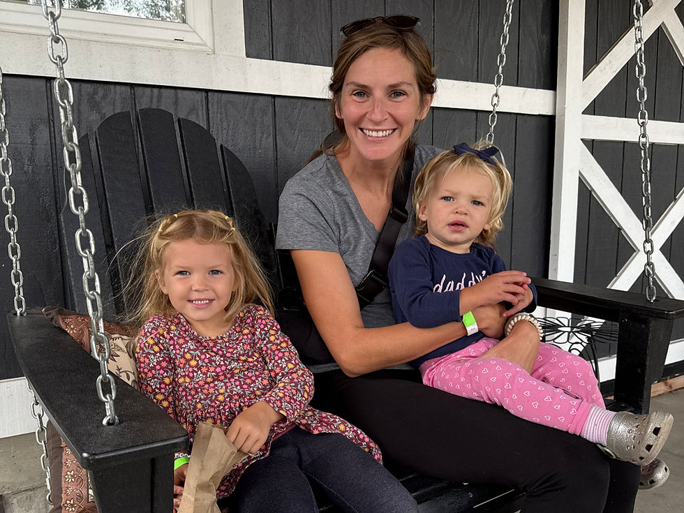 Buzz Around The Barnyard