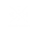 White Logo.png