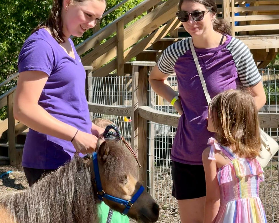 Buzz Around The Barnyard