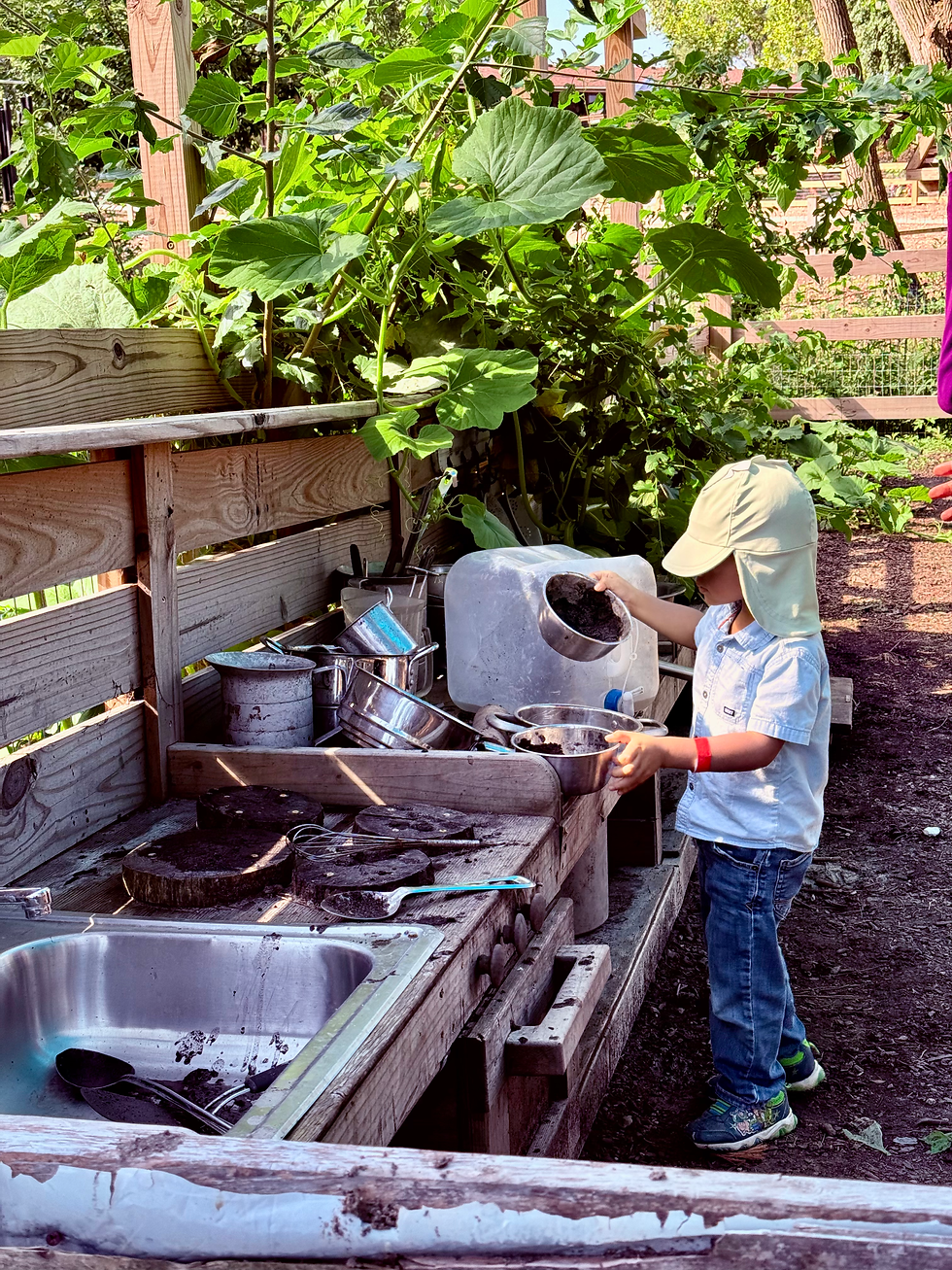 Buzz Around The Barnyard 