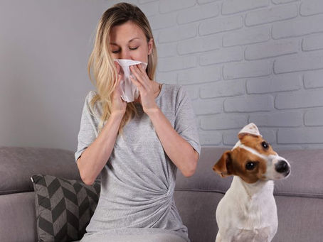 Resfrio Vs Gripe