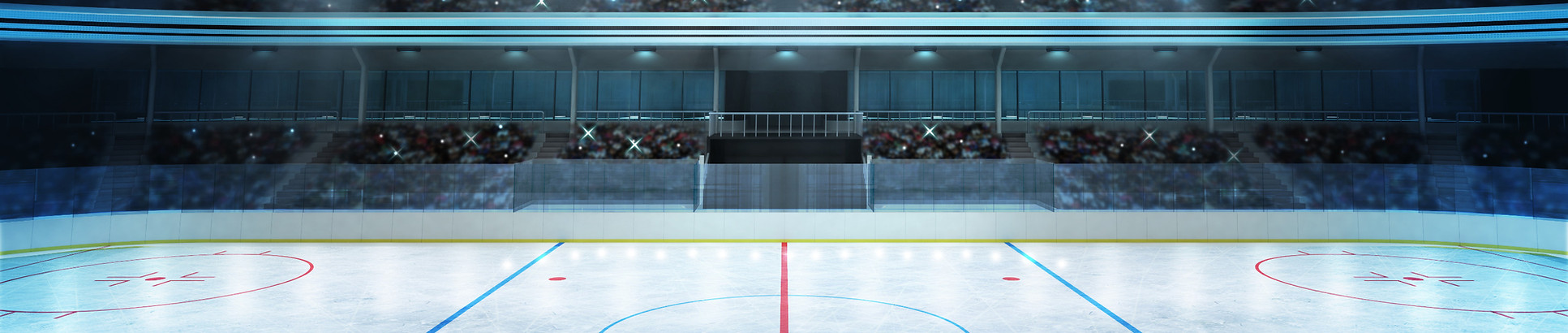 Graphic image of a hockey arena