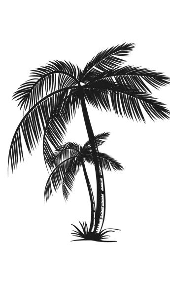 CANNAV-PALMERA.png