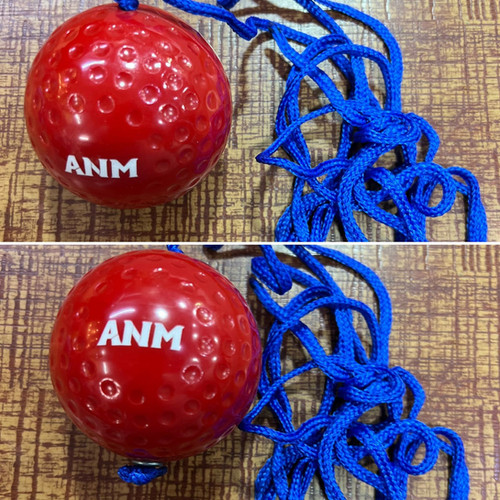 CW hanging cricket ball Sports Land