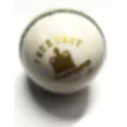 SF True Test White Cricket Leather Ball