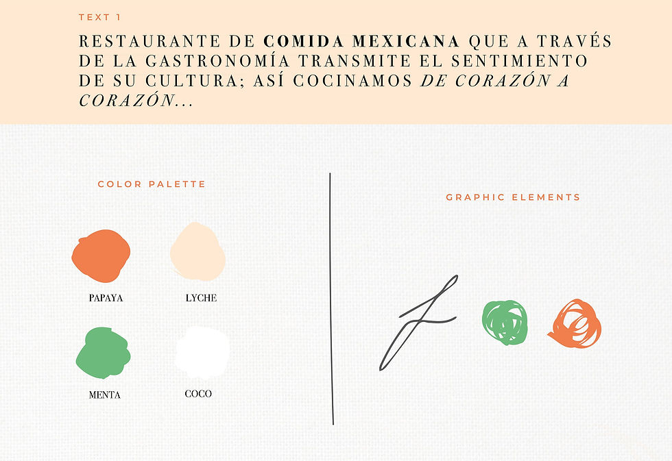 Color palette and graphic elements