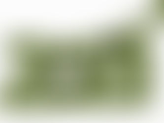 Alabama & U.S. Vaccine Update - March 2021