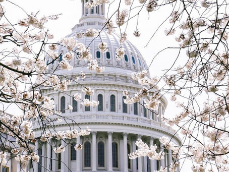 Katie Britt Easily Defeats Mo Brooks