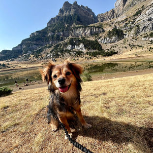 Finde en el pirineo con los objetivos cumplidos