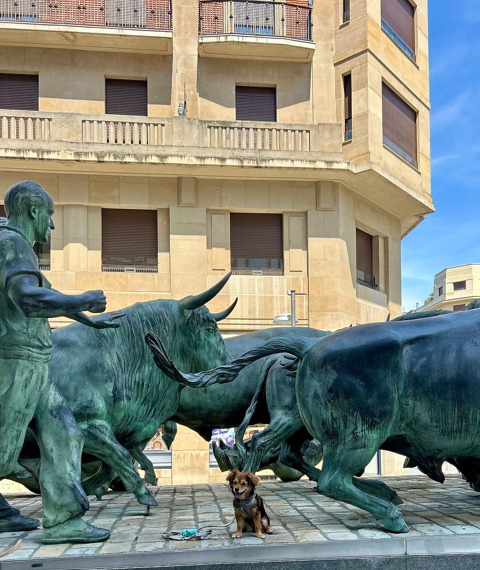 Una perrita pequeña de color marrón y negro sentada posando sonriente justo debajo de las grandes esculturas de bronce del Monumento al Encierro en Pamplona.