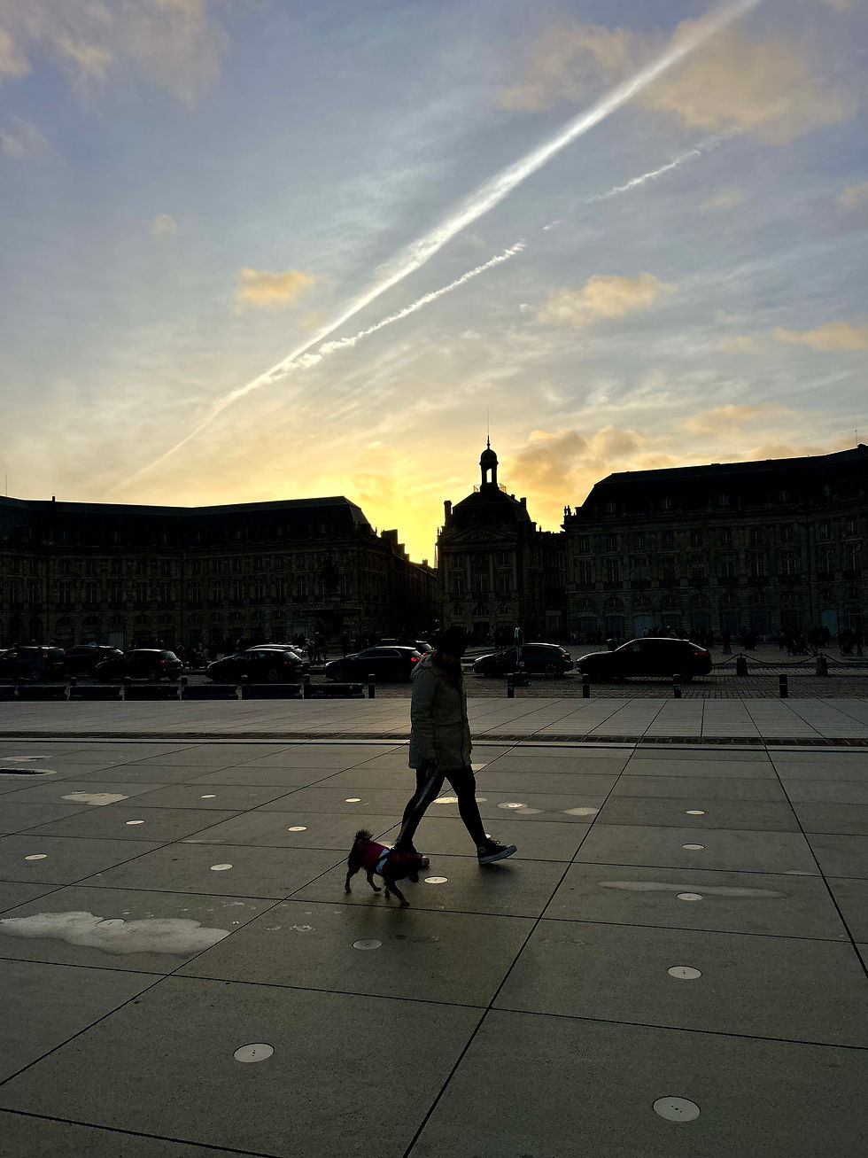 Paseo al atardecer por la Plaza de la Bolsa. Burdeos es una ciudad ideal para recorrer con perro.