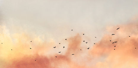 CATHERINE ERB PHOTOGRAPHY, CLOUDS, FINE ART PHOTOGRAPHY, AIR PHOTOGRAPHY, MIXED MEDIA, PHOTO ENCAUSTIC, CLOUD STUDY, CLOUD FORMATIONS, SKY FORMATIONS, SKY, LIGHT, NATURAL LIGHT, NATURE, CLOUD PHOTOGRAPHY, PHOTOGRAPHY PRACTICE, VISUAL JOURNAL, ARTIST JOURNAL