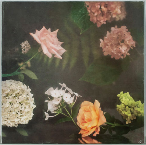 CATHERINE ERB PHOTOGRAPHY, FRESCOED MIXED MEDIA, FRESCOED, MIXED MEDIA, FINE ART PHOTOGRAPHY, FINE ART PHOTOGRAPHER, PHOTOGRAPHY, PHOTOGRAPHY PRACTICE, VISUAL JOURNAL, MEMPHIS STUDIO, FLOWER PHOTOGRAPHY, FRESCO FLOWER STUDIES, FLOWERS, GARDEN, GARDEN SHOW, COLORS, COLORFUL, COLORFUL FLOWERS, PINK ROSES, FRIENDS, TEA TIME