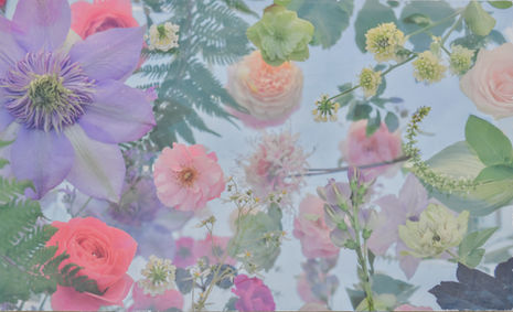 CATHERINE ERB PHOTOGRAPHY, FRESCOED MIXED MEDIA, FRESCOED, MIXED MEDIA, FINE ART PHOTOGRAPHY, FINE ART PHOTOGRAPHER, PHOTOGRAPHY, PHOTOGRAPHY PRACTICE, VISUAL JOURNAL, MEMPHIS STUDIO, FLOWER PHOTOGRAPHY, FRESCO FLOWER STUDIES, FLOWERS, GARDEN, GARDEN SHOW, COLORS, COLORFUL, COLORFUL FLOWERS, ROSE
