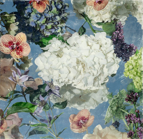 CATHERINE ERB PHOTOGRAPHY, FRESCOED MIXED MEDIA, FRESCOED, MIXED MEDIA, FINE ART PHOTOGRAPHY, FINE ART PHOTOGRAPHER, PHOTOGRAPHY, PHOTOGRAPHY PRACTICE, VISUAL JOURNAL, MEMPHIS STUDIO, FLOWER PHOTOGRAPHY, FRESCO FLOWER STUDIES, FLOWERS, GARDEN, GARDEN SHOW, COLORS, WHITE HYDRANGEAS, HYDRANGEA, ORCHIDS