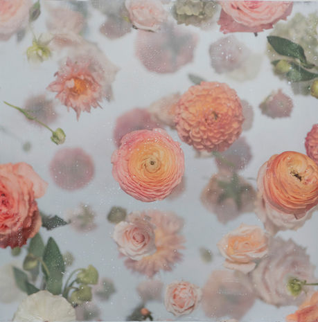 CATHERINE ERB PHOTOGRAPHY, FRESCOED MIXED MEDIA, FRESCOED, MIXED MEDIA, FINE ART PHOTOGRAPHY, FINE ART PHOTOGRAPHER, PHOTOGRAPHY, PHOTOGRAPHY PRACTICE, VISUAL JOURNAL, MEMPHIS STUDIO, FLOWER PHOTOGRAPHY, FRESCO FLOWER STUDIES, FLOWERS, GARDEN, GARDEN SHOW, COLORS, BRIDAL BOUQUETS, LIGHT PINK FLOWERS