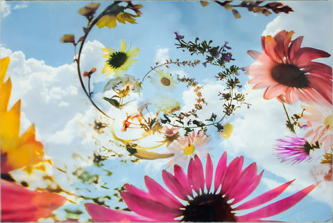 CATHERINE ERB PHOTOGRAPHY, FRESCOED MIXED MEDIA, FRESCOED, MIXED MEDIA, FINE ART PHOTOGRAPHY, FINE ART PHOTOGRAPHER, PHOTOGRAPHY, PHOTOGRAPHY PRACTICE, VISUAL JOURNAL, MEMPHIS STUDIO, FLOWER PHOTOGRAPHY, FRESCO FLOWER STUDIES, FLOWERS, GARDEN, GARDEN SHOW, COLORS, COLORFUL, COLORFUL FLOWERS, SPIRAL FLOWERS, PINK FLOWERS