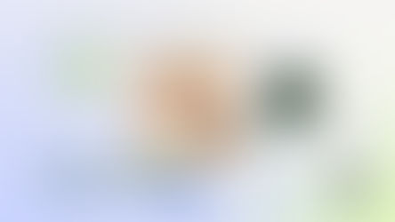 Wix Harmony evolución de la web