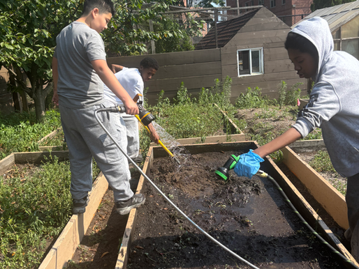 Middle schoolers water a bed of dirt with a hose at Ocean Bay Cornerstone Community Center's garden.