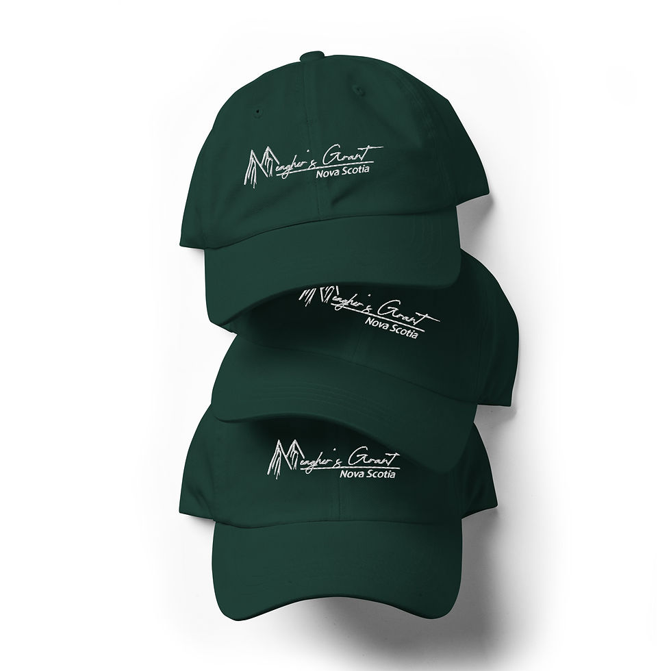 Thumbnail: Meagher's Grant Dad Hat