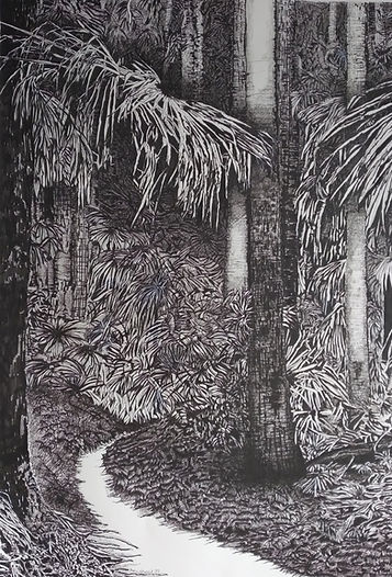 Cabbage Tree Palm Forest - Tiona  pen & ink 59 x 42cm