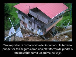 Imagen19