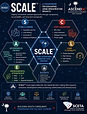scale-infographic-reversed-sceta-logo.jpg
