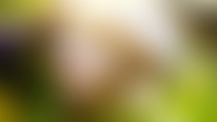 "AŞKI BETİMLEMEK" - Ege Ulaş BAŞAR