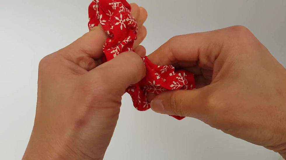 Thumbnail: Once Upon a Scrunchie/Christmas Holly