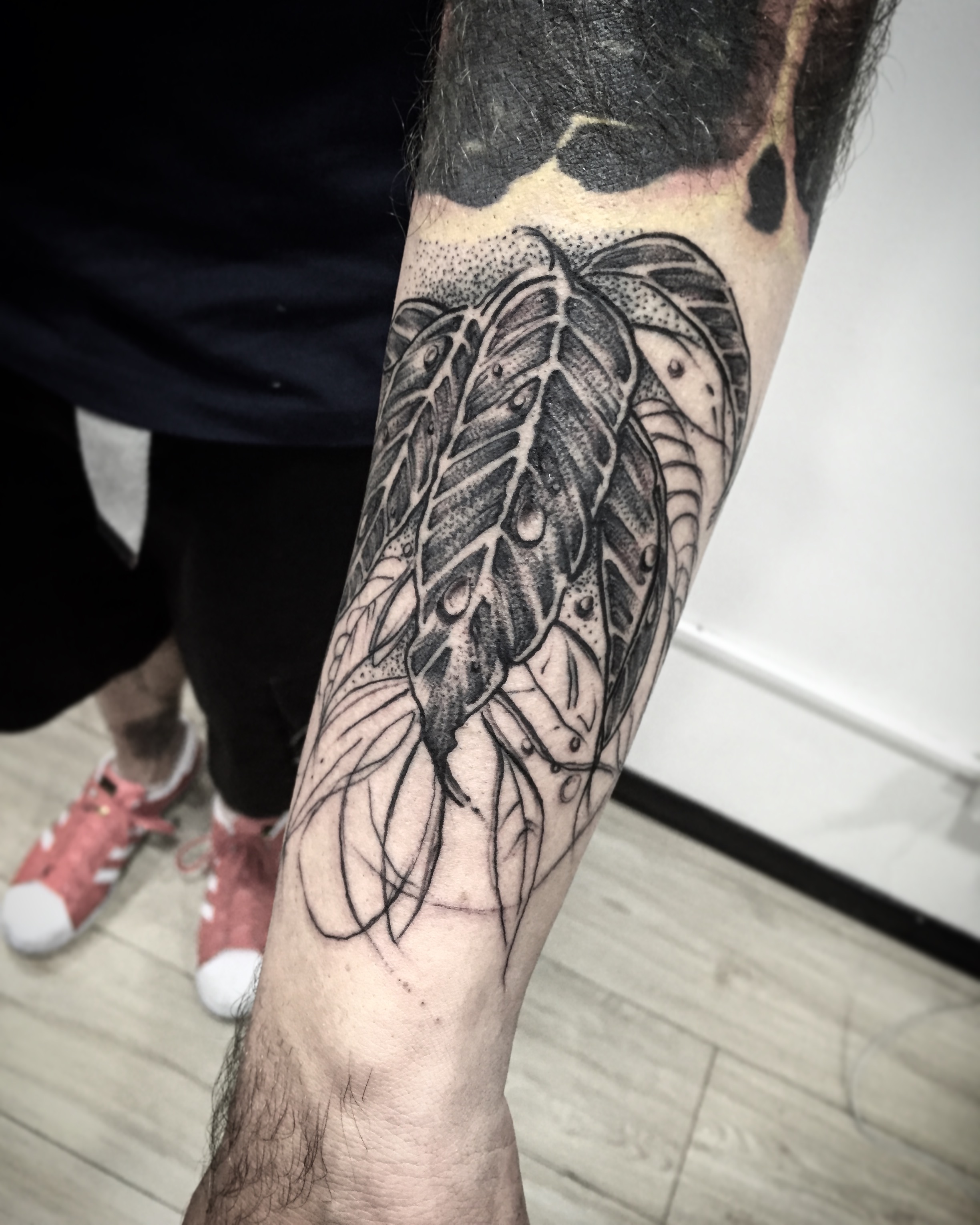 Leaves Colombia