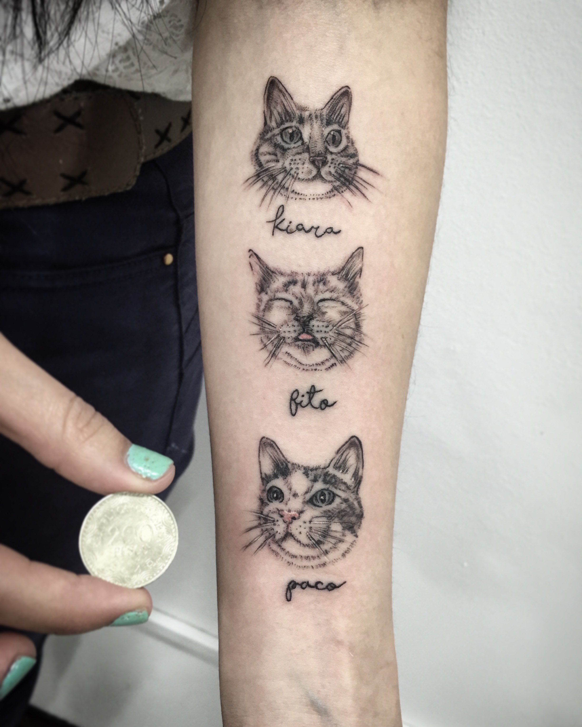 Tiny cats