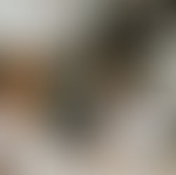 Un couple qui prépare son mariage et sa cérémonie laïque avec leur officiante.