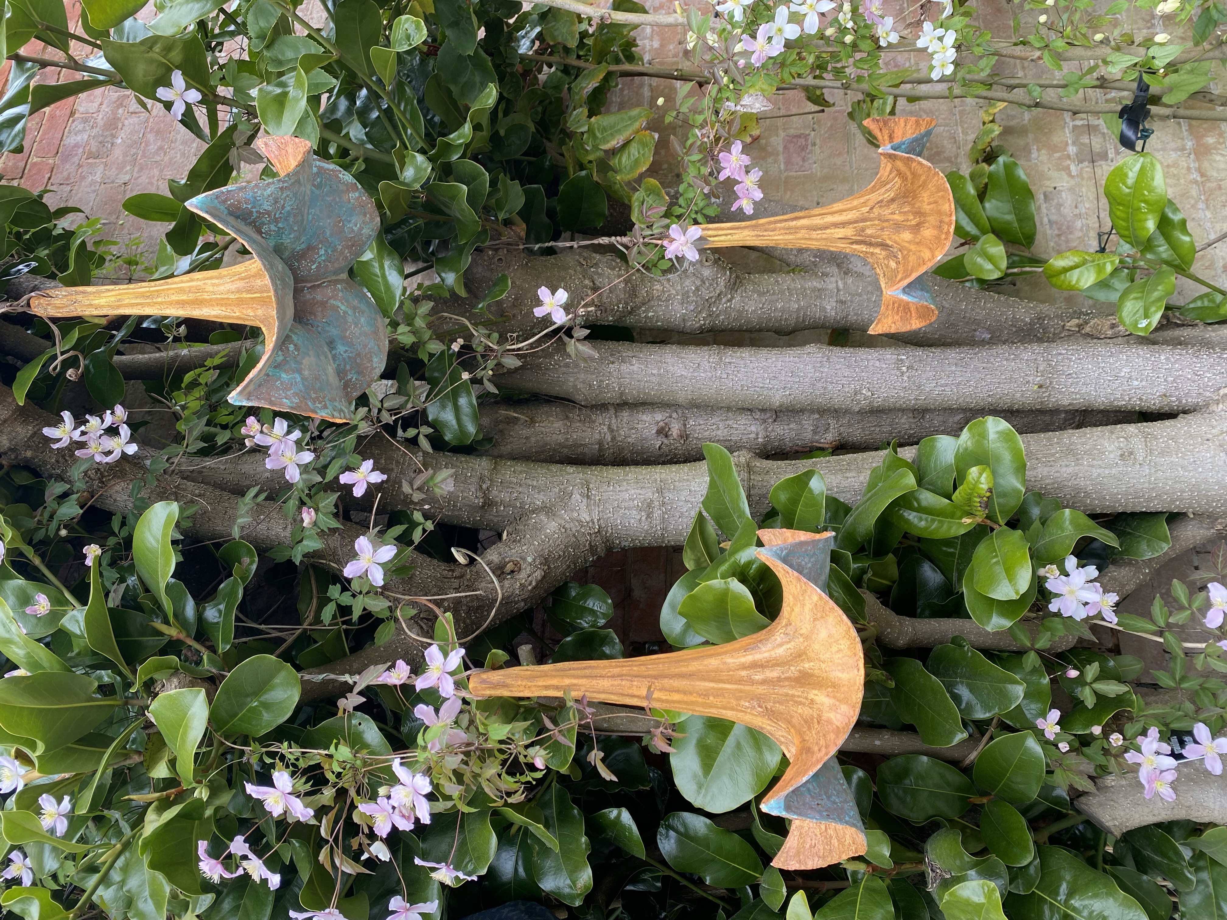 Martin_Abby_Flower Trumpets.jpeg