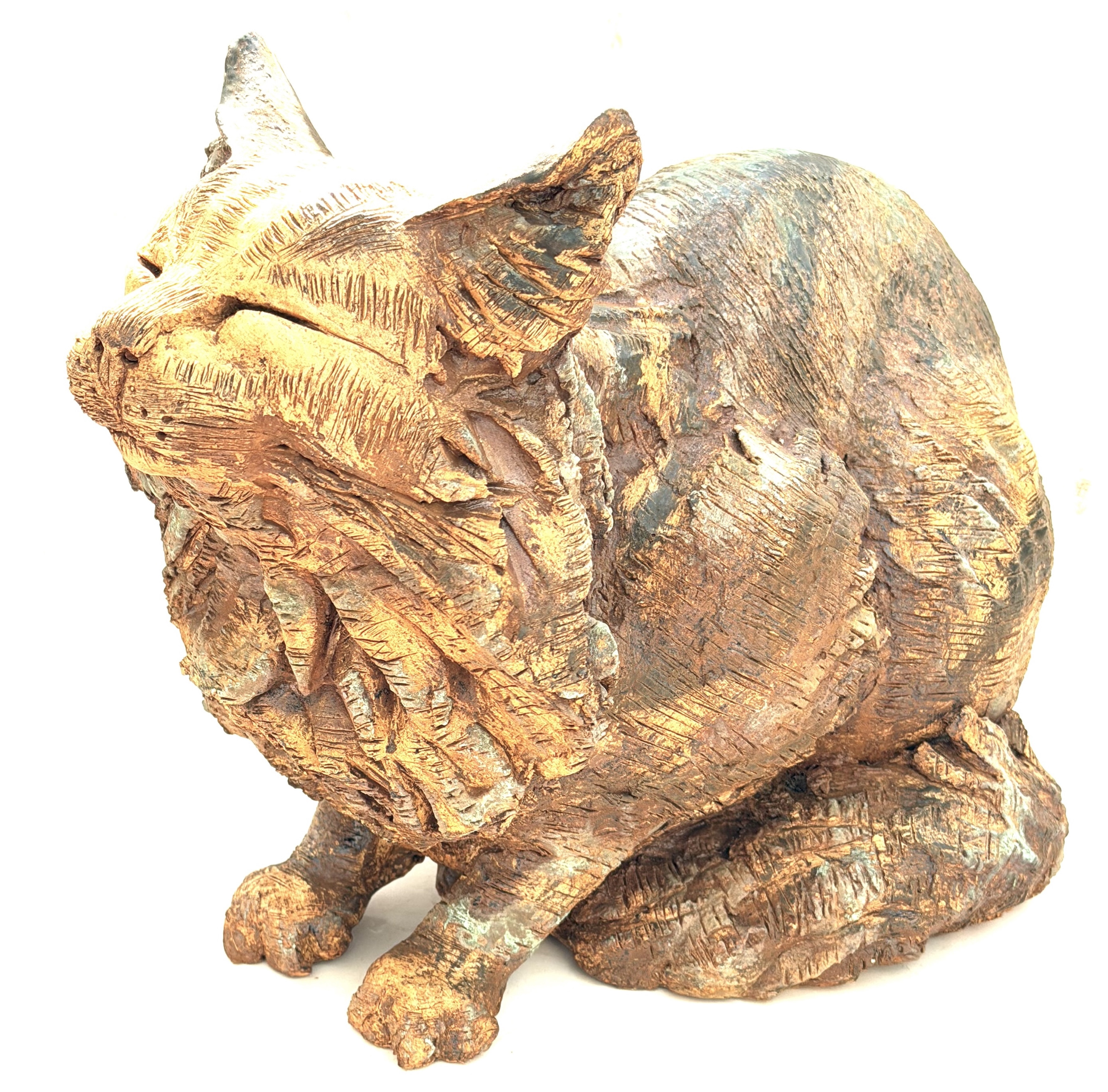 Teresa_Martin_Sun Kissed Cat.jpeg
