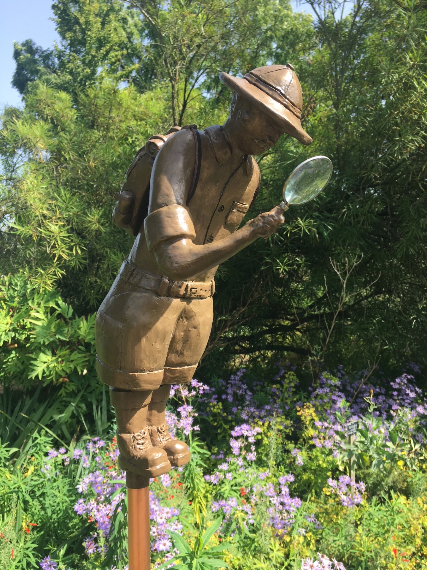 Allan Mackenzie THE EXPLORER.jpg