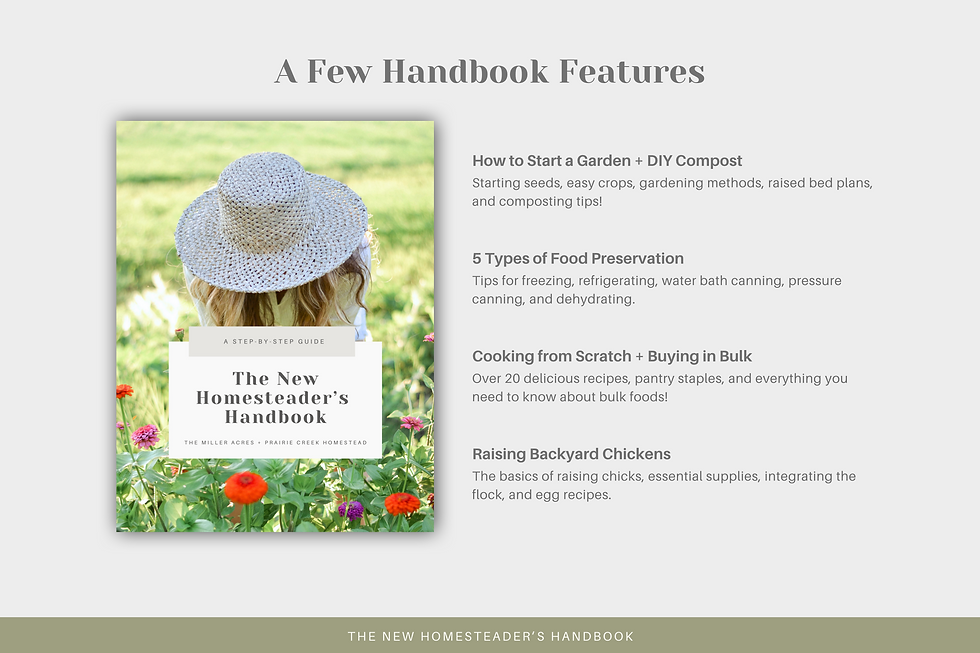 Thumbnail: Beginner's Homesteading Guide