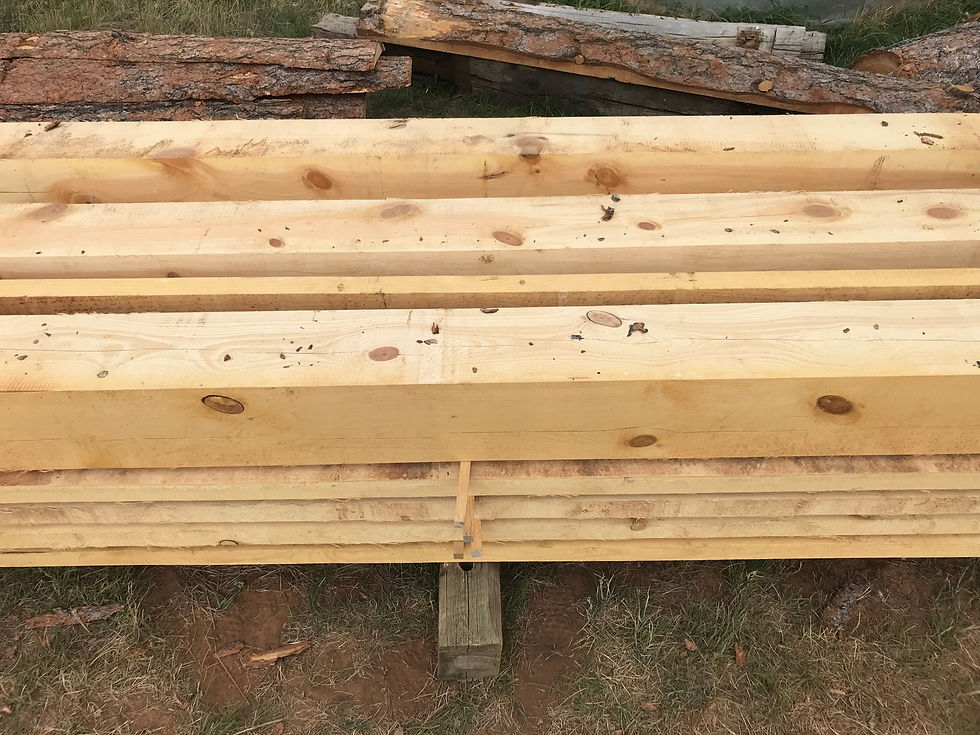 10 Foot Boards