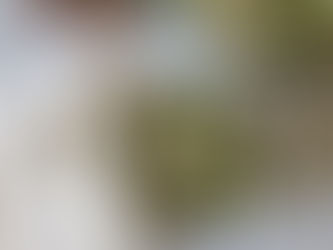 Loaded Broccoli Salad