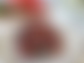 Smoked Dry Rub Pork Ribs