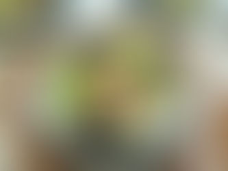 Summer Balsamic Chicken Salad