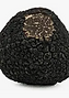 Truffe.png