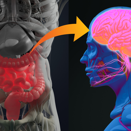 The Gut–Brain Axis in a Warming World: How a Changing Microbiome Shapes Mood