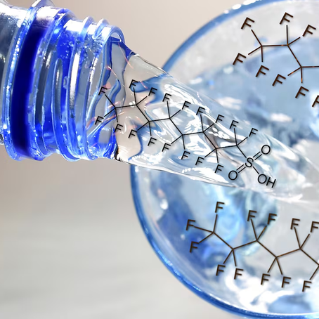 Forever Chemicals, Borrowed Hormones — How Endocrine Disruptors Rewrite the Body's Messages