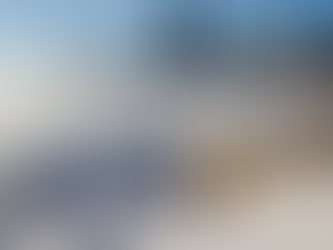 The Science Behind Arctic Outbreaks in a Warming World