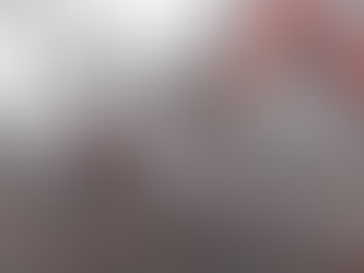 When Nature Fights Back: The Orangutan That Stopped a Bulldozer