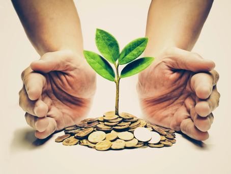 The Economics of Sustainability: The True Cost of Business as Usual