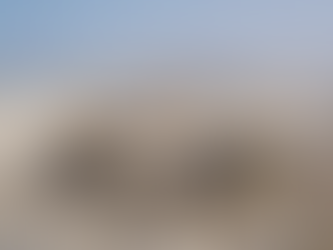 Stadium Construction's Ecological Footprint