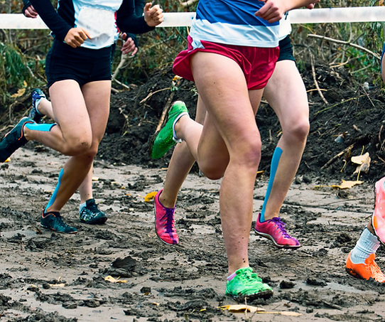 cross_country.png