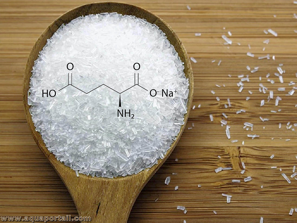 Glutamate — The Brain's Accelerator